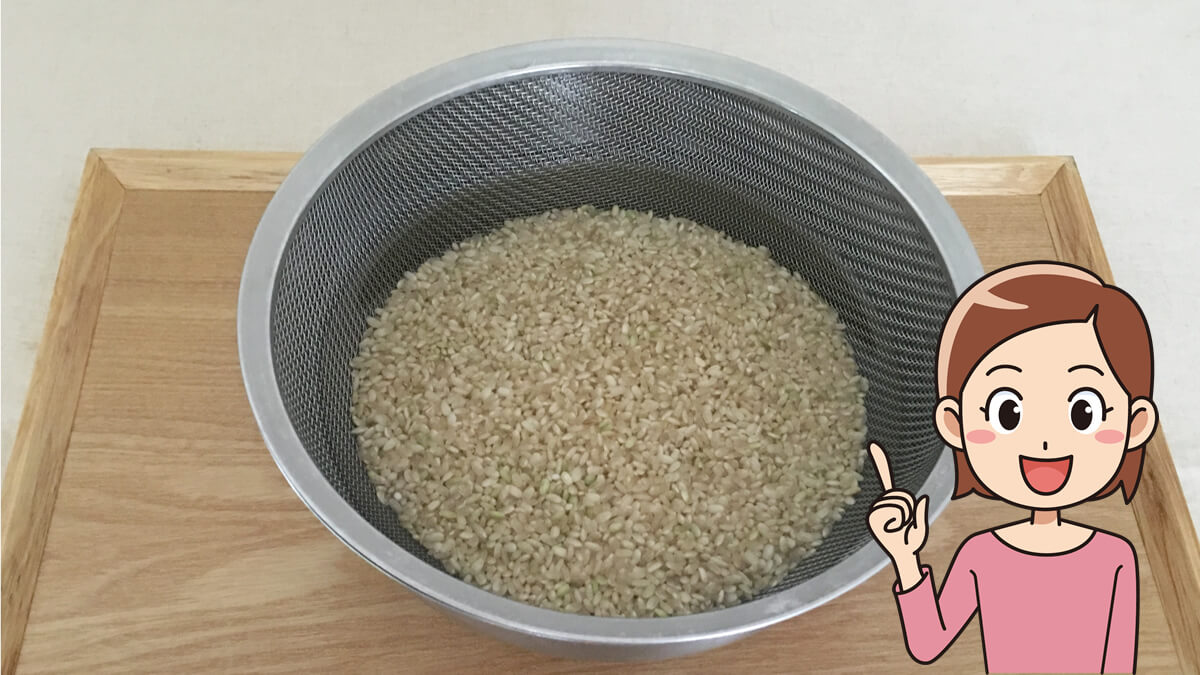発芽玄米をつくるために、玄米を水につけているところ